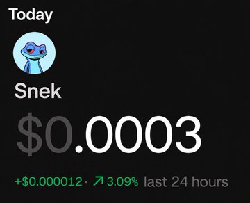 A cryptocurrency price tracker showing 'Snek' token at $0.0003, up +$0.000012 (+3.09%) in the last 24 hours, featuring a blue snake avatar.