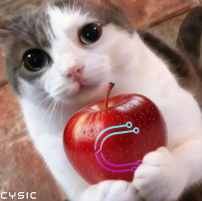 The image features a cat holding an apple with its paws. The cat's eyes are open wide as if it is posing for a photo or video. The caption of the image includes information about Claude, which is likely related to the cat holding the apple.