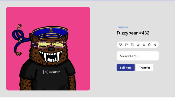 An NFT marketplace listing for "Fuzzybear #432" from the Fuzzybears collection, featuring a cartoon bear wearing a sailor hat, yellow shutter shades, and a black XRP Ledger shirt against a bright pink background, with the owner noting they now own the NFT and have options to "Sell now" or "Transfer" it—aligning with the post announcing their return to the NFT market with this specific bear (#432) after researching the Fuzzy community.