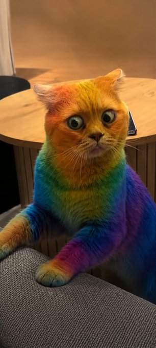 A rainbow-dyed cat with wide, startled eyes sits on a couch in front of a wooden table, its multicolored fur mirroring the "$Colors" cryptocurrency token referenced in the post. The vibrant, surreal feline embodies the bullish "GM" (good morning) energy being rallied to send the colorful coin higher.