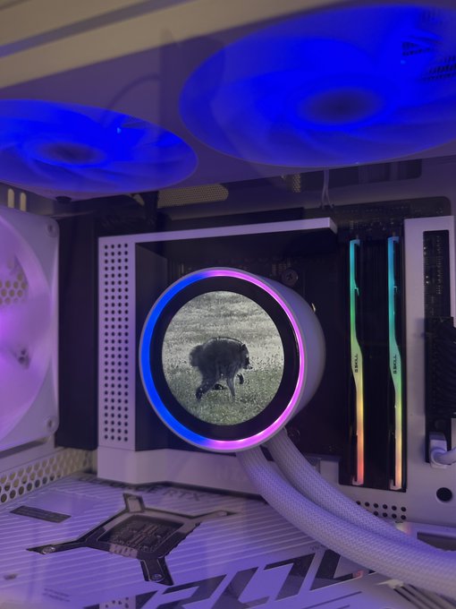 The image shows a computer's liquid cooler displaying a dog in a field, fitting with the post's theme of "$Jimothy" being "everywhere."