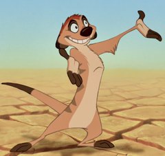 A cartoon meerkat stands in a barren desert landscape with an exaggerated, goofy grin and one arm raised triumphantly, captioned alongside a list of cryptocurrency returns highlighting significant gains and losses on various altcoins.