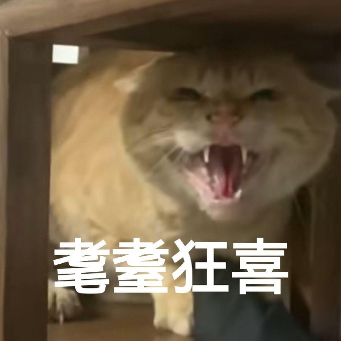 A meme image of an angry, hissing cat with its mouth wide open showing teeth, with Chinese text overlay reading "耄耋狂喜" (mào diè kuáng xǐ - extreme delight).