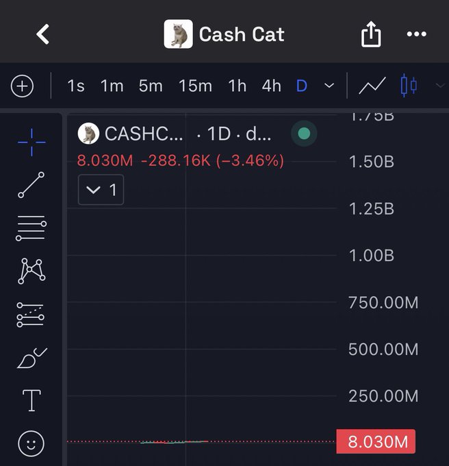 A TradingView chart of the $CASHC (Cash Cat) token on a 1D timeframe shows a current price of 8.030M, down 3.46% (-288.16K), with the price action flat along the bottom of the chart near the lows of its range. The image illustrates the post's point that holders had ample time to bid the token before its sharp decline, with the near-flat line emphasizing the missed opportunity before the drop.