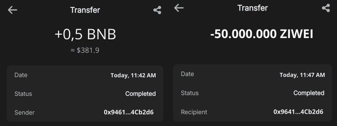 The image shows two completed Transfer transactions: a send of +0.5 BNB (≈$381.9) at 11:42 AM and a receipt of -50,000,000 ZIWEI at 11:47 AM from the same address (0x9461...4cb2d6), demonstrating the 100% bonus $ZIWEI presale offer in action.
