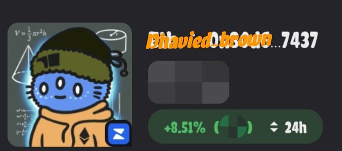 A screenshot showing a crypto profile for 'DaviedOboruw...7437' with an 8.51% gain, featuring an avatar of a blue character wearing a beanie.