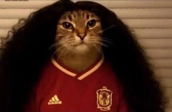 A cat with wild, voluminous dark hair is photoshopped onto a body wearing a red Adidas Spain national football jersey, humorously styled to look like Lionel Messi's iconic look. The image playfully suggests that this "Messi cat" is the underdog tasked with stopping Cristiano Ronaldo ("the GOAT") in their upcoming matchup.
