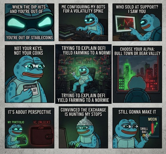 A 9-panel comic featuring a blue turtle character with various crypto trading memes, including text like 'YOU'RE OUT OF STABLECOINS', 'NOT YOUR KEYS, NOT YOUR COINS', 'BULL TOWN OR BEAR VALLEY', and 'MOON'.