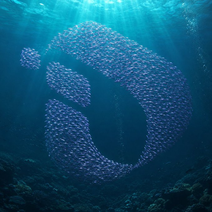 A vast school of small fish forms the shape of a connected ring beneath sunlit ocean waters, visually embodying the unity and collective strength of the InterLink network. The image's interlocking circular formation reflects the message that "every verified human makes the network stronger," reinforced by the hashtags #InterLink #ITLG #ITL.
