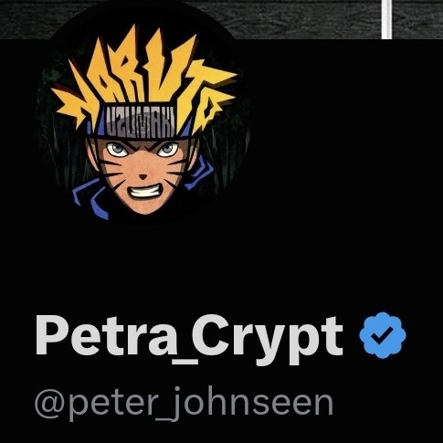 A profile image shows an anime-style character wearing a helmet with the word "Naruto," accompanied by the name "Petra_Crypt" and the handle "@peter_johnseen" with a blue verified badge.