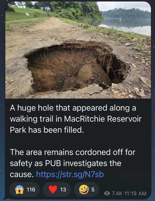 A news screenshot showing a large hole that appeared on a walking trail at MacRitchie Reservoir Park, with text noting the area has been filled and remains cordoned off for safety investigation.