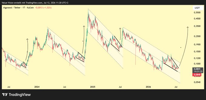 A TradingView chart displays the price movement of the Algorand / Tether (1T) pair, with handwritten technical analysis annotations showing a falling wedge pattern, price targets of 0.35, and a 'Bull run' prediction.