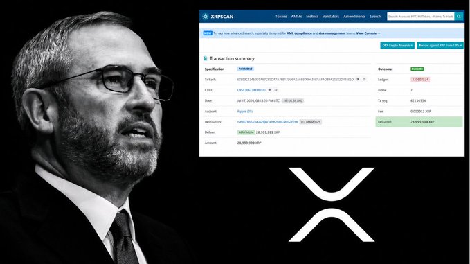 A black-and-white portrait of a bearded man with glasses on the left, paired with an XRPscan transaction summary on the right showing a successful transaction of 20,999,559 XRP, alongside the XRP logo.