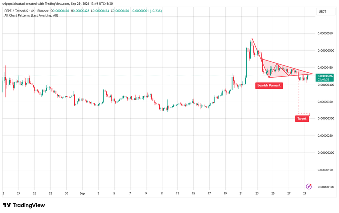 A TradingView chart for 'PEPE / TetherUS' on Binance (4h timeframe) shows a bearish descending triangle pattern with a 'Bearish Pennant' label and a 'Target' marked at approximately 0.000000300 USDT.
