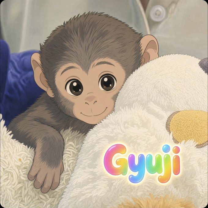 Illustration of a baby monkey hugging a fluffy white teddy bear with the text 'Gyuji' displayed in colorful, bubbly letters.
