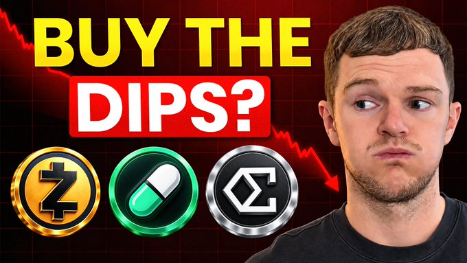 A thumbnail showing a man with a concerned expression beside the text "BUY THE DIPS?" with falling chart lines and crypto logos for Zcash (ZEC), Ethena (ENA), and Pump (PUMP), illustrating the creator's strategy of buying these three altcoins during a market dip, as outlined in the linked YouTube video.