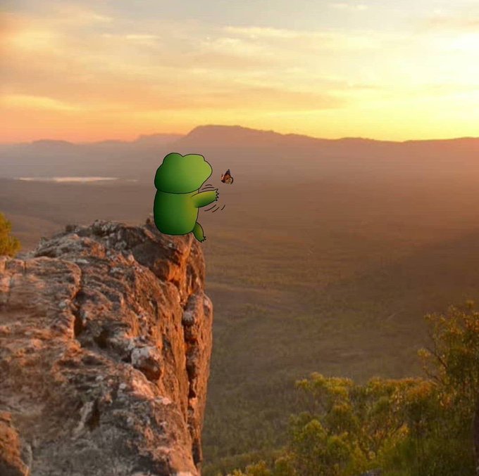 Cartoon frog character standing on the edge of a rocky cliff at sunset, holding a butterfly with motion lines suggesting a fall, set against a vast landscape.