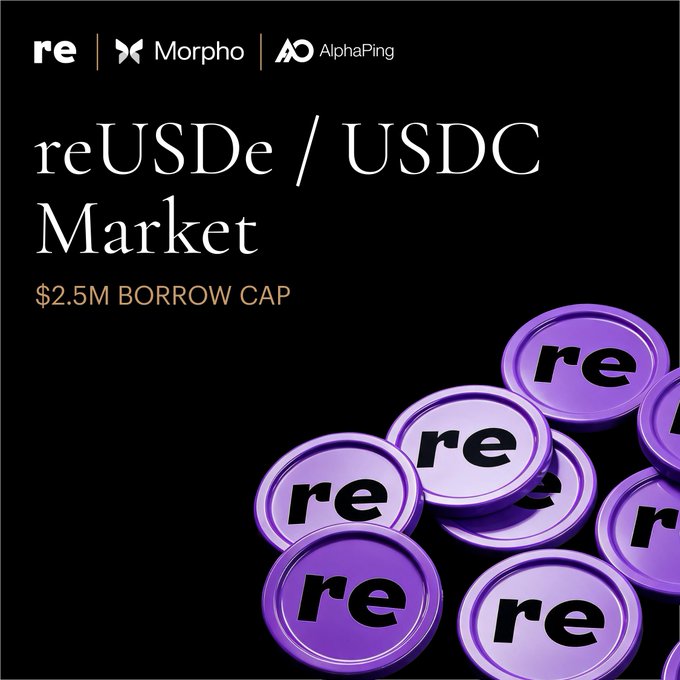 The image features a group of purple coins scattered across a black background. The text "New Market for reUSDe" is displayed at the top, along with several lines explaining the market's features. One of these lines talks about the borrow cap in the new Re' cryptocurrency and how it relates to the existing reUSDC token capital structure. The focus on this information helps clarify what the image presents and its relevance to the main topic: the reUSDe market.