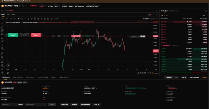 A cryptocurrency trading platform interface showing the BTCUSDT perpetual futures chart on Bybit, with the price at 75,690.65 USDT, alongside an order book and positions panel.