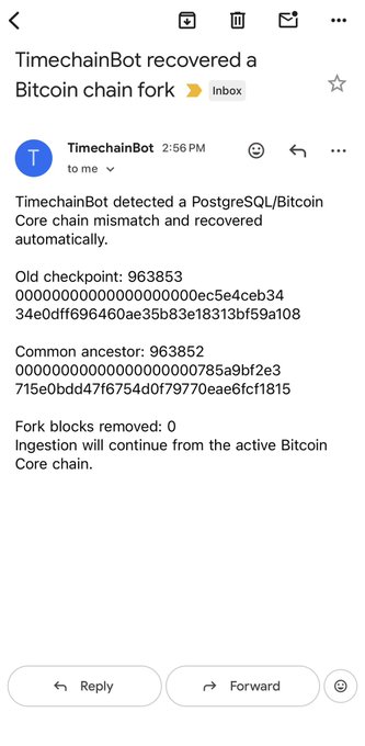An email from TimechainBot at 2:56 PM reports detecting a PostgreSQL/Bitcoin Core chain mismatch and automatically recovering, showing old checkpoint 963853 and common ancestor 963852 with zero fork blocks removed before resuming ingestion from the active Bitcoin Core chain—matching the "Fkn stale blocks" post about a minor chain fork recovery.