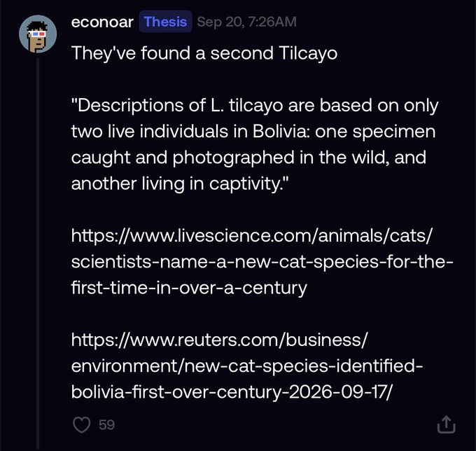 A social media post by 'econoar' discusses the discovery of a second specimen of L. tilcayo, a cat species in Bolivia, with linked articles from Live Science and Reuters.