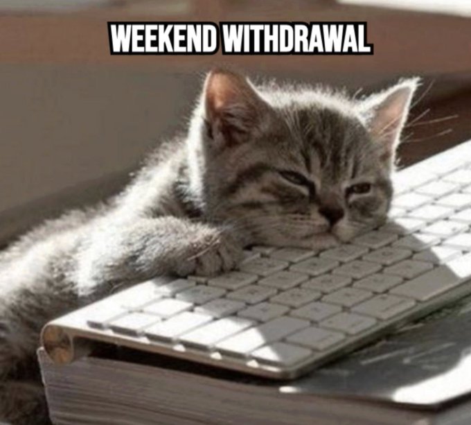 A meme image of a sad-looking kitten lying on a white computer keyboard with the text "WEEKEND WITHDRAWAL" overlaid at the top.