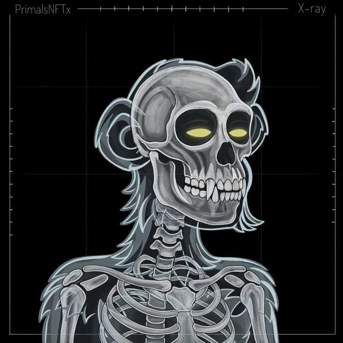 A digital illustration styled like an X-ray labeled 'PrimalsNFTx' shows a monkey skull with glowing yellow eyes over a visible skeletal ribcage on a black background.