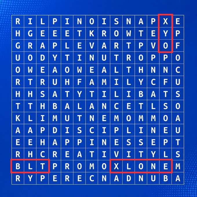 A word search puzzle on a blue background with words like 'ILLINOIS', 'GRAPLE', 'FAMILY', 'BALANCE', 'HAPPINESS', and 'CREATIVITY', with 'BLT' and 'XLONE' highlighted in red boxes.
