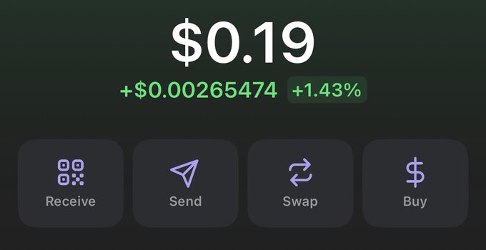 A screenshot of a crypto wallet dashboard showing a balance of $0.19, up +$0.00265474 (+1.43%) in green, with action buttons for Receive, Send, Swap, and Buy. The image relates to the post by humorously showcasing the tiniest "green" portfolio gain, celebrating being back in the positive despite the small amount.