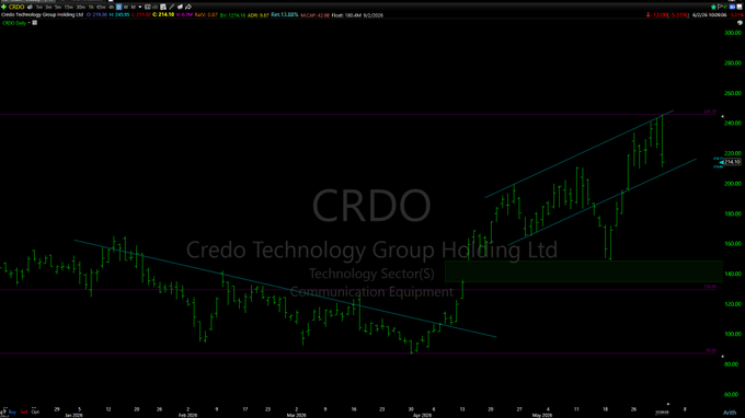 The image shows a stock chart with a green line indicating a trend, possibly for Crdo Technology Group Holding Ltd. The chart also displays a purple line representing a bearish trend or downward movement. The text "CRDO" suggests that this is an analysis of Crdo Technology Group holding Ltd., and the phrase "swing trader" implies that the stock's behavior might be suitable for someone who actively engages in buying and selling stocks based on market trends.
