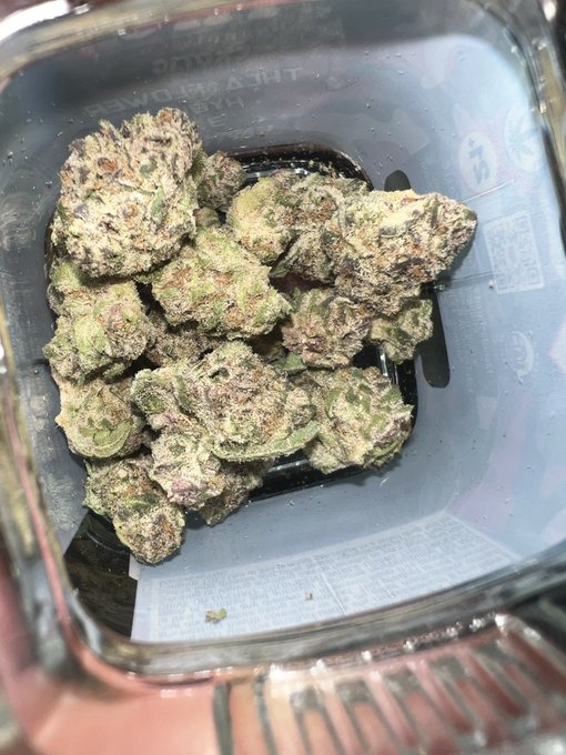 A clear plastic container holds several green cannabis buds resting on dark material.