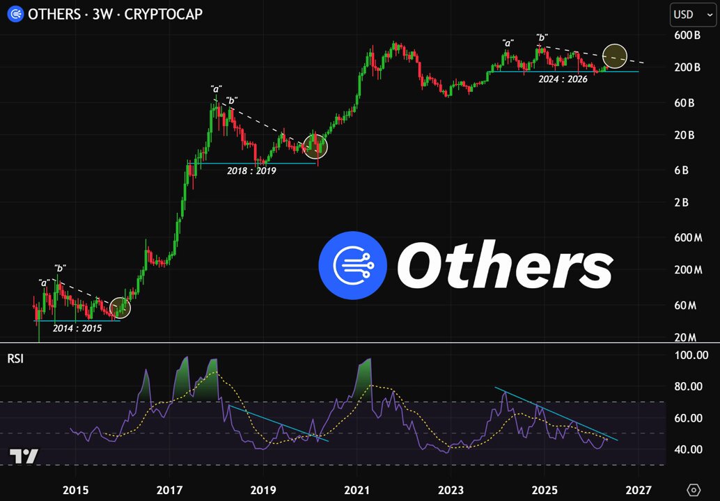 In the image, an altcoin named 'Others' with a cryptocurrency symbol appears at the bottom of the screen. The altcoin has shown a downward trend over time, while Bitcoin (BTC) has shown an upward trend on the same graph. The post suggests that other altcoins might continue to perform well or even outperform Bitcoin in the future, based on their recent performance trends.