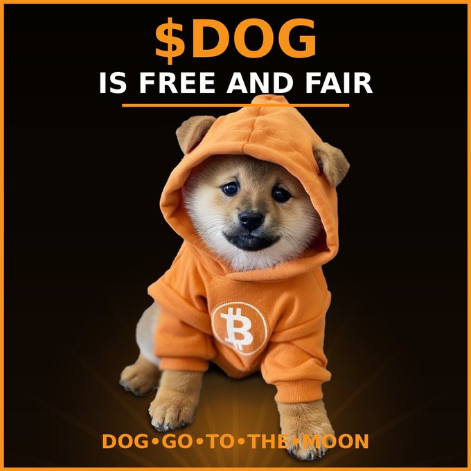A promotional image shows a Shiba Inu puppy wearing an orange hoodie with a Bitcoin '₿' logo, captioned '$DOG IS FREE AND FAIR' and 'DOG GO TO THE MOON'.