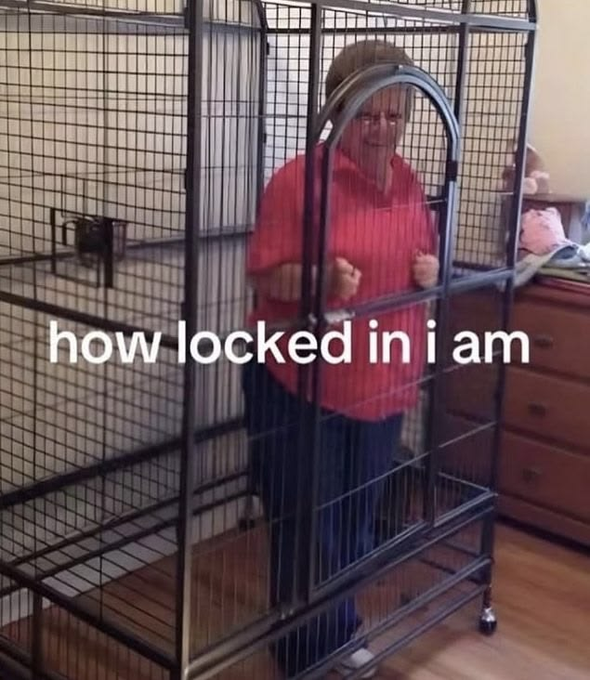 An older woman in a red top stands inside a large metal pet cage with the door closed, with the overlaid caption 'how locked in i am.'
