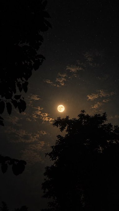 A glowing full moon shines through scattered clouds in a starry night sky, framed by silhouettes of tree branches and leaves. The serene nocturnal scene perfectly captures the peaceful "goodnight CT" sentiment, ending the day with a quiet, natural farewell.