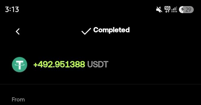 A screenshot of a completed cryptocurrency transaction showing a gain of +492.951388 USDT at 3:13.