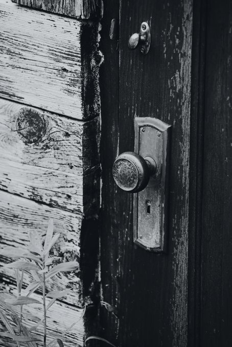 A black and white photograph of a weathered wooden door with a tarnished metal doorknob and keyhole, with a green leafy plant growing at the base.
