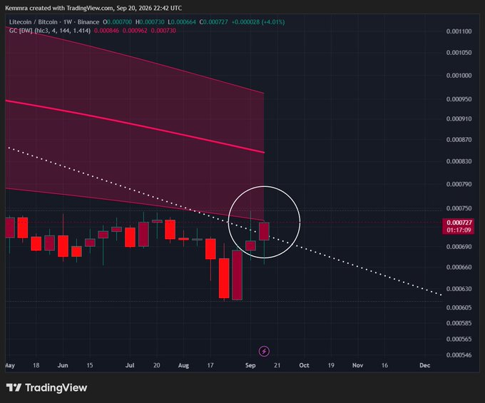 A TradingView candlestick chart for Litecoin/Bitcoin (LTC/BTC) on Binance shows a downward trend with a circled area highlighting price action near September.