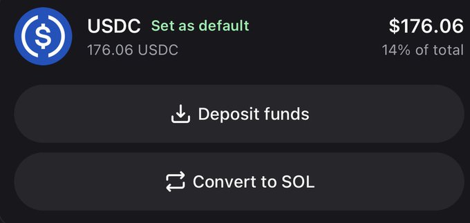 The image shows a wallet interface displaying a USDC balance of 176.06 USDC, valued at $176.06 (14% of total holdings), with options to "Deposit funds" or "Convert to SOL." This screenshot supports the post's claim by visually documenting the $176 earnings, showcasing the actual balance received from the Pumpfun callouts.