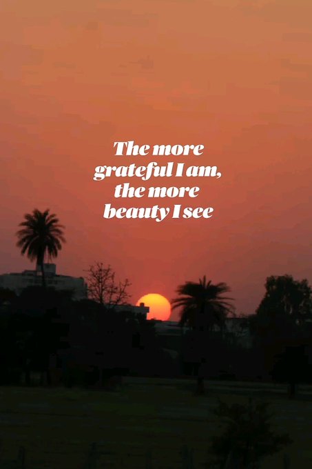 An inspirational quote on a sunset background with palm trees and a setting sun reads: 'The more grateful I am, the more beauty I see'.