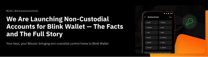 A blog announcement banner titled "We Are Launching Non-Custodial Accounts for Blink Wallet — The Facts and The Full Story" with the tagline "Your keys, your Bitcoin: bringing non-custodial control home to Blink Wallet," alongside a phone mockup displaying a backup phrase screen. The image relates to the accompanying post by visually promoting Blink Wallet's new self-custody feature, which contrasts with Lightspark's Silicon Valley approach mentioned in the article text.