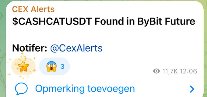A screenshot of a Telegram channel alert from @CexAlerts announcing '$CASHCATUSDT Found in ByBit Future', with 11.7K views at 12:06.