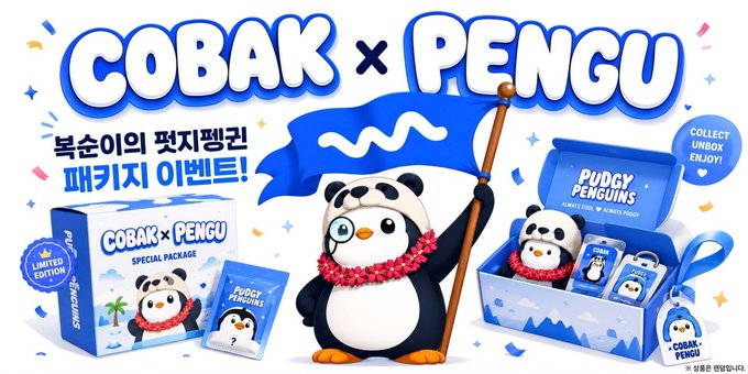 Promotional banner for a "COBAK × PENGU" collaboration featuring Pudgy Penguins mascot merchandise, advertising a limited-edition special package giveaway event running August 6-9 with winners announced August 10. The image showcases the collectible figure, packaging, and blind boxes alongside Korean text reading "복순이의 핏지펭귄 패키지 이벤트!" (Boksun's Pudgy Penguin Package Event).