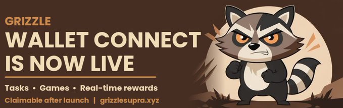 Promotional banner reading 'GRIZZLE WALLET CONNECT IS NOW LIVE' with features 'Tasks • Games • Real-time rewards' and website grizzlesupra.xyz, featuring a cartoon raccoon character.