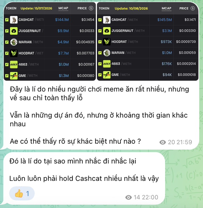 A Vietnamese Telegram chat screenshot displaying token market cap comparisons between 15/07/2026 and 10/08/2026, with commentary stating that meme coin players always profit and recommending to hold Cashcat tokens.