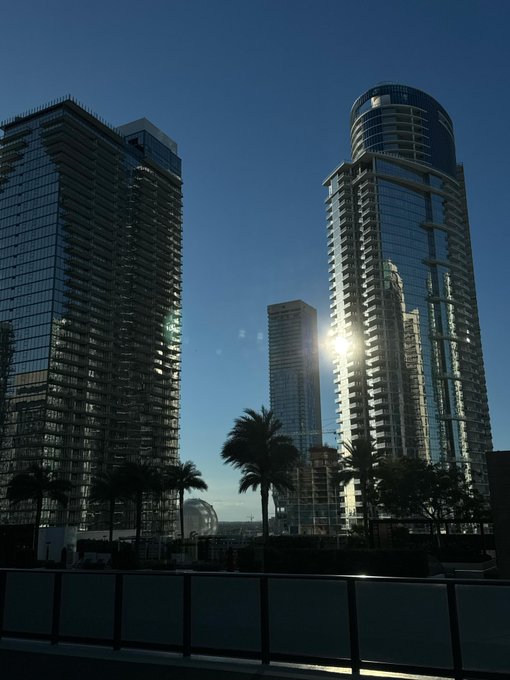 Modern glass skyscrapers reflecting bright sunlight against a clear blue sky, with palm trees visible at street level.