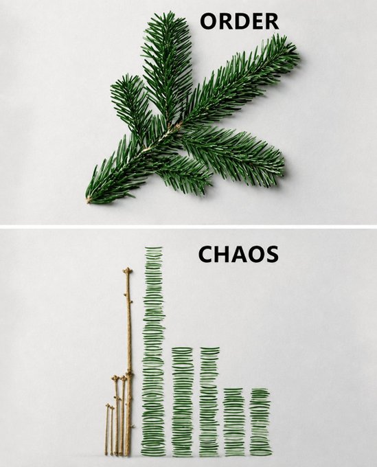A two-panel image showing a pine branch labeled 'ORDER' on top, and below it the same needles disassembled and arranged in a chaotic pattern labeled 'CHAOS'.