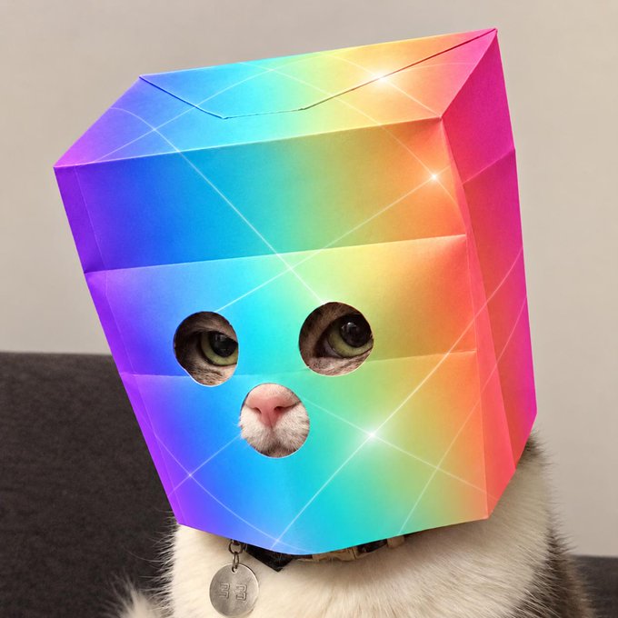 A cat wears a vibrant rainbow-colored paper bag over its head, with only its eyes, nose, and a tag reading "33" visible. The caption "the bag stays on" humorously reflects the cat's resigned yet adorable patience while wearing its colorful disguise.
