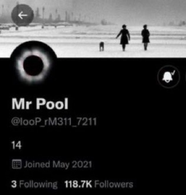 A screenshot of a Twitter/X profile page for "Mr Pool" (@looP_rM311_7211), showing 14 posts, 3 following, and 118.7K followers, with a header image depicting figures on a snowy beach.
