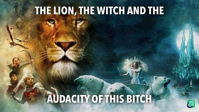 A meme image featuring a lion and characters from 'The Lion, the Witch and the Wardrobe' with the text 'THE LION, THE WITCH AND THE' at the top and 'AUDACITY OF THIS BITCH' at the bottom.